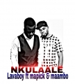 Download - Lava boy ft mapick & maambo_ Nkulaale.       (Uploaded by Mr'Zed)
