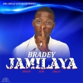 Bradey  - jamilaya