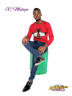 Download - OC Muleya__Tapelo (uploaded by Mr'Zed) Download - OC Muleya__Tapelo (uploaded by Mr'Zed)